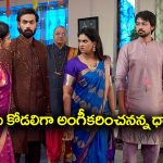 Brahmamudi Serial Today November 9th: ‘బ్రహ్మముడి’ సీరియల్:   కావ్య మెడలో హారం వేసిన రాజ్‌ – చచ్చినా అప్పును కోడలిగా అంగీకరించను అన్న ధాన్యలక్ష్మీ  
