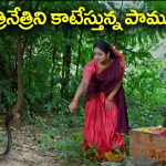 Trinayani Serial Today November 3rd: ‘త్రినయని’ సీరియల్‌:  త్రినేత్రి మీదకు పామును వదిలిన ముక్కోటి – వల్లభను బెదిరించిన హాసిని