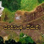 Yadadri District Land Scam: యాదాద్రి జిల్లాలోనే అన్ని ఎకరాల టైటిల్ వివాదమా.. ఏంటి ఈ సిత్రాలు.. కబ్జా ఫైల్స్ పై స్పెషల్ స్టోరీ