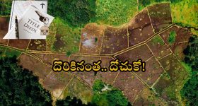 Raja Singh on Owaisi: కొట్టుకో డప్పు కొట్టుకో.. అమెరికాలో చదివానంటావ్.. ఇదేనా నీ చదువు.. ఒవైసీపై రాజాసింగ్ గుర్రు