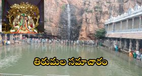 Seethakka: కాంట్రాక్ట్ ఉద్యోగులకు రేవంత్ సర్కార్ గుడ్ న్యూస్.. ప్రభుత్వ ఉద్యోగులతో సమానంగా!