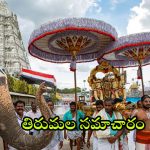 Tirumala Updates: కార్తీకమాసం ఎఫెక్ట్.. తిరుమలకు భారీగా భక్తులు.. దర్శనానికి ఎన్ని గంటల సమయమంటే?