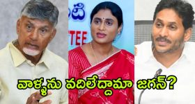 AP Politics: వాళ్లను వదిలిపెట్టనంటున్న చంద్రబాబు.. షర్మిళ మద్దతు.. కుదరదంటున్న జగన్
