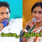 Sharmila vs Jagan: అంత ధైర్యం లేకుంటే రాజీనామా చెయ్ జగనన్నా.. షర్మిళ కౌంటర్