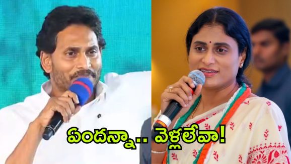 Sharmila vs Jagan: అంత ధైర్యం లేకుంటే రాజీనామా చెయ్ జగనన్నా.. షర్మిళ కౌంటర్