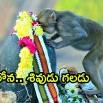 Viral photo: కీసరగుట్టలో అద్భుతం.. భక్తులంతా షాక్.. అసలేం జరిగిందంటే?