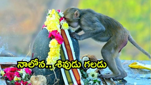 Viral photo: కీసరగుట్టలో అద్భుతం.. భక్తులంతా షాక్.. అసలేం జరిగిందంటే?