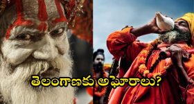 Lady Aghori: కుంభమేళా తర్వాత అఘోరీ ప్లాన్ ఏంటి? అఘోరాల రాక నిజమేనా? తెలంగాణ పైనే కన్నెందుకు?