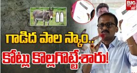Donkey Milk Scam: గాడిదలతో లక్షల్లో ఆదాయమట.. క్యూ కట్టిన ప్రజలు.. దిమ్మతిరిగే షాకిచ్చిన నిర్వాహకుడు