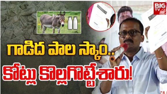 Donkey Milk Scam: గాడిదలతో లక్షల్లో ఆదాయమట.. క్యూ కట్టిన ప్రజలు.. దిమ్మతిరిగే షాకిచ్చిన నిర్వాహకుడు