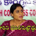 YS Sharmila: అవినాష్ రెడ్డిని మరచిపోయారా? సజ్జల సంగతేంటి? ఏ ప్యాలెస్ లో ఉన్నా వదలొద్దు.. వైఎస్ షర్మిళ
