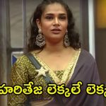 Bigg Boss 8 Telugu: రోహిణి స్మార్ట్, నిఖిల్ ఎడ్డీ.. హరితేజ లెక్కలు తప్పే ఛాన్సే లేదా?