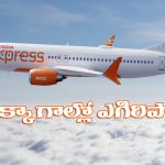Air India Express Flash Sale: జస్ట్ 1,444కే విమాన ప్రయాణం.. ఎయిర్ ఇండియా బంఫర్ ఆఫర్!