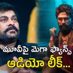 Pushpa2 vs Mega Fans : ‘పుష్ప 2 ‘ పై మెగా ఫ్యాన్స్ కుట్ర.. ఇలా తయారయ్యారెంట్రా బాబు..
