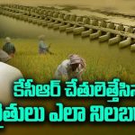 Paddy Procurement: కాళేశ్వరం లేకపోయినా.. రికార్డుస్థాయిలో వరి ధాన్యం ఉత్పత్తి, అంటే.. బీఆర్ఎస్ చెప్పింది వట్టి మాటలేనా?