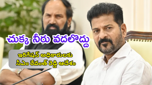 CM Revanth Reddy : నీటిలో మన వాటా కోసం కొట్లాడండి.. అధికారులకు సీఎం డైరెక్షన్