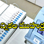 Local Body Elections : పంచాయతీ నగారా.. మోగేది ఎప్పుడంటే.?