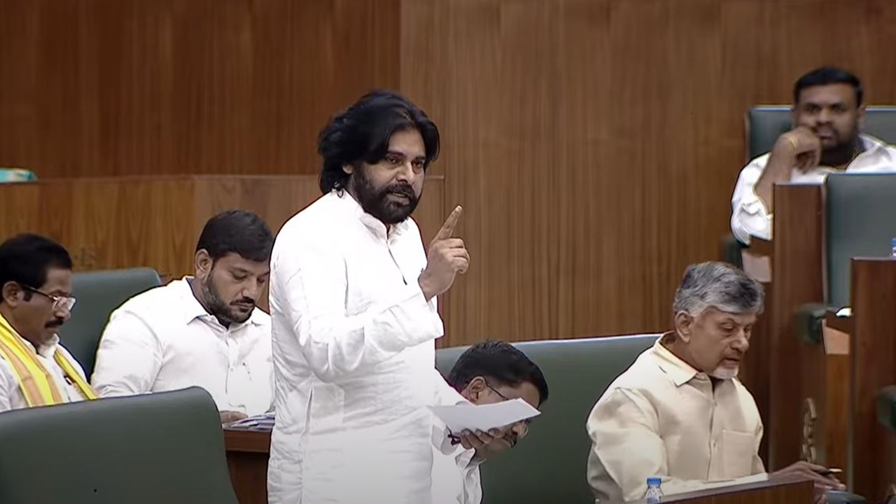 Deputy CM Pawan Kalyan: ఇవే వైసీపీ వారసత్వ సంపద.. 150 రోజుల పాలనపై డిప్యూటీ సీఎం పవన్ మాట