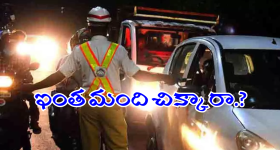 David Warner unsold: డేవిడ్‌ వార్నర్‌, పడిక్కల్‌ Un Sold