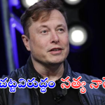 Musk Complains : శ్వేతజాతీయులపై వివక్ష.. మైక్రోసాఫ్ట్ సీఈఓ సత్యా నాదేళ్లకు ఎలాన్ మస్క్ ఫిర్యాదు..