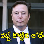 Elon Musk : ఎలన్ మస్క్ కు షాక్.. ఇకపై ఆ దేశంలో..!