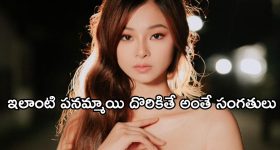 World's Stylish Tiny Home: ఇది ప్రపంచంలోనే అత్యంత అందమైన చిన్న ఇల్లు, ధర ఎన్ని కోట్లో తెలిస్తే షాక్ అవ్వాల్సిందే!