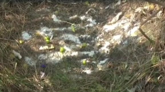 Black Magic In Sukthanabad: సుల్తానాబాద్ జిల్లాలో చేత‌బ‌డి క‌ల‌క‌లం.. పంట‌పొలంలో మ‌నిషిబొమ్మ‌.. వెళ్లి చూడ‌గానే!