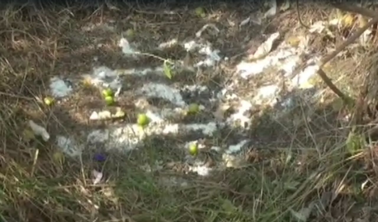 Black Magic In Sukthanabad: సుల్తానాబాద్ జిల్లాలో చేత‌బ‌డి క‌ల‌క‌లం.. పంట‌పొలంలో మ‌నిషిబొమ్మ‌.. వెళ్లి చూడ‌గానే!