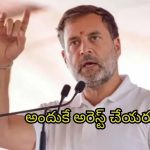 Rahul Gandhi on Adani: అదానీ దేశసంప‌ద కొల్ల‌గొట్టాడు.. ఆయ‌న వెన‌కుంది మోడీనే: రాహుల్ గాంధీ