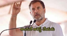 Rahul Gandhi on Adani: అదానీ దేశసంప‌ద కొల్ల‌గొట్టాడు.. ఆయ‌న వెన‌కుంది మోడీనే: రాహుల్ గాంధీ