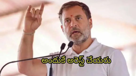 Rahul Gandhi on Adani: అదానీ దేశసంప‌ద కొల్ల‌గొట్టాడు.. ఆయ‌న వెన‌కుంది మోడీనే: రాహుల్ గాంధీ