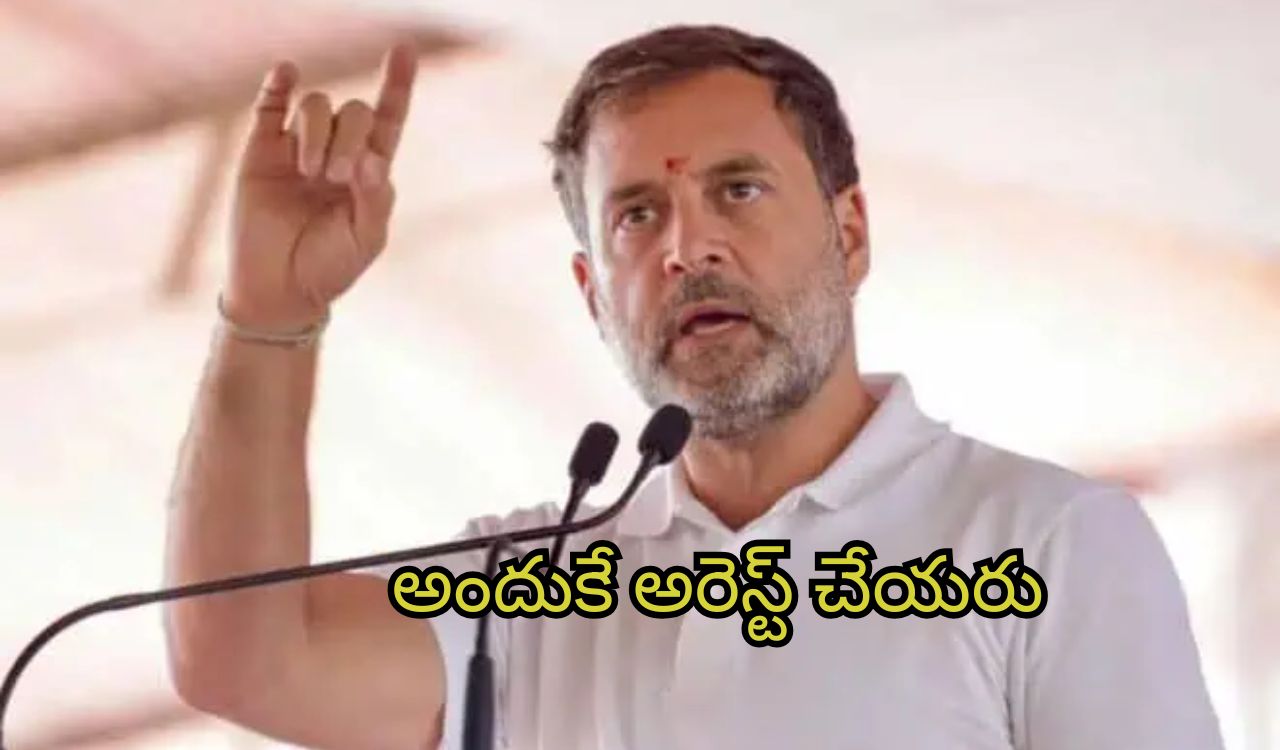 Rahul Gandhi on Adani: అదానీ దేశసంప‌ద కొల్ల‌గొట్టాడు.. ఆయ‌న వెన‌కుంది మోడీనే: రాహుల్ గాంధీ