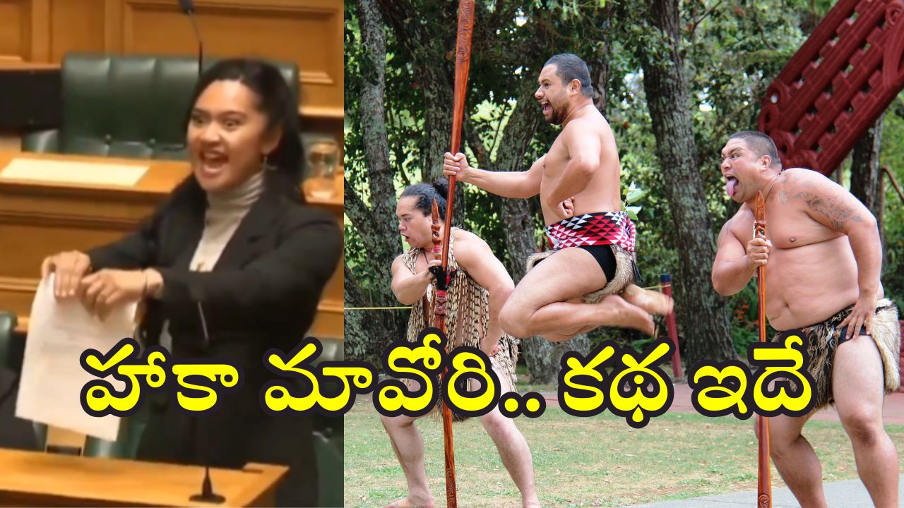Haka Maori : న్యూజిలాండ్ ఎంపీ చేసిన ఆ డాన్స్‌కు.. ఎంత చరిత్ర ఉందో తెలుసా?