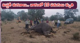Devara Movie Overall collections: దేవర మొత్తం కలెక్షన్స్.. లాభమా..? నష్టమా..?