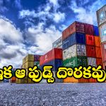 India Rejects Food Shipments: ఆ దేశాల నుంచి ఆహార సరుకులను తిరస్కరించిన ఇండియా, ఎందుకో తెలుసా?