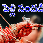 Marriages in Telugu States : ఊరు వాడా కోలాహలం.. వరుసగా పెళ్లి ముహుర్తాలు