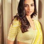 Meenakshi Chaudhary: మీనాక్షి చౌదరి టార్గెట్ అదేనా?