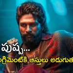 Pushpa 2 Bookings : పుష్ప2కు నో థియేటర్స్… నైజాంలో అసలేం జరుగుతుంది పుష్ప..?