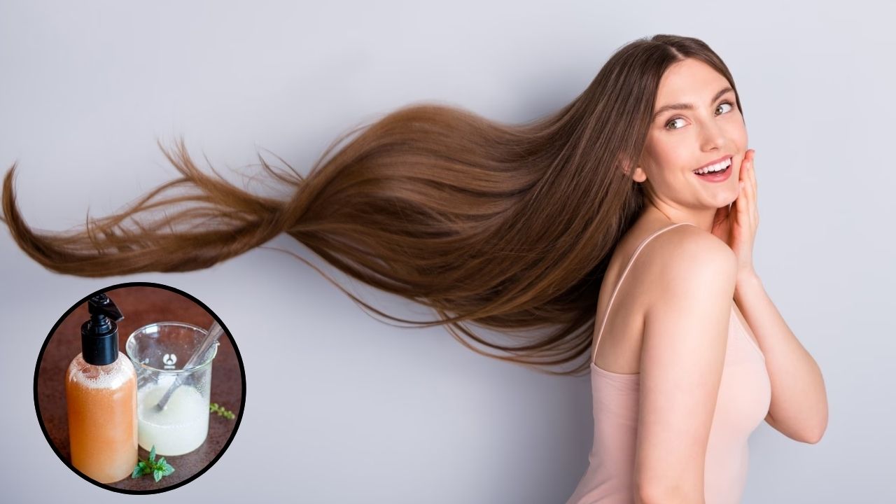 Homemade Shampoo: ఈ షాంపూ వాడితే.. జుట్టు రాలనే రాలదు