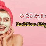 Face Pack For Pimples: ఈ ఫేస్ ప్యాక్ వాడితే.. మొటిమలు రమ్మన్నా రావు