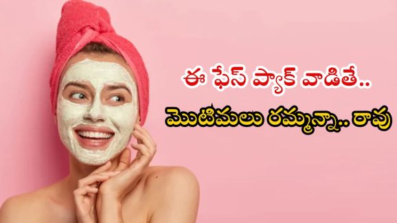 Face Pack For Pimples: ఈ ఫేస్ ప్యాక్ వాడితే.. మొటిమలు రమ్మన్నా రావు