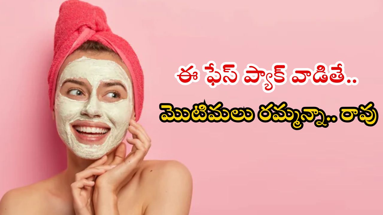 Face Pack For Pimples: ఈ ఫేస్ ప్యాక్ వాడితే.. మొటిమలు రమ్మన్నా రావు