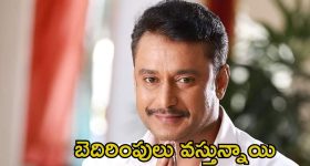 Hero Darshan: హీరో దర్శన్ నుండి ప్రాణహాని ఉంది.. రోడ్డెక్కిన లాయర్