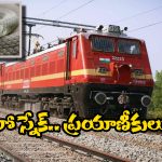 Snake Spotted in Train: శతాబ్ది ఎక్స్ ప్రెస్ లోకి పాము, భయాందోళనలో ప్రయాణీకులు- నెట్టింట వీడియో వైరల్
