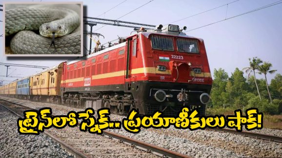 Snake Spotted in Train: శతాబ్ది ఎక్స్ ప్రెస్ లోకి పాము, భయాందోళనలో ప్రయాణీకులు- నెట్టింట వీడియో వైరల్