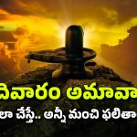 Karthika Masam 2024: ఈ అమావాస్య రోజు.. ఈ ఒక్క పూజ చేస్తే చాలు.. ఊహకు అందని ఫలితాలు..