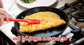 Non Stick Pan: నాన్ స్టిక్ పాత్రల్లో వండిన ఆహారం తింటే.. క్యాన్సర్ వస్తుందా ?
