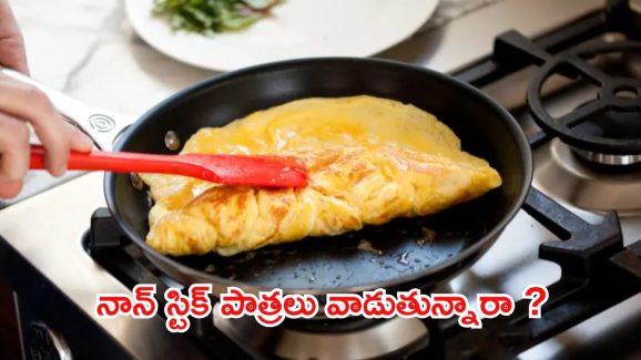 Non Stick Pan: నాన్ స్టిక్ పాత్రల్లో వండిన ఆహారం తింటే.. క్యాన్సర్ వస్తుందా ?