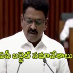 AP Budget Sessions 2024-25: రూ.2.94 లక్షల కోట్లతో ఏపీ బడ్జెట్.. వివిధ శాఖలకు కేటాయింపులు ఇలా