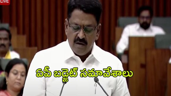 AP Budget Sessions 2024-25: రూ.2.94 లక్షల కోట్లతో ఏపీ బడ్జెట్.. వివిధ శాఖలకు కేటాయింపులు ఇలా